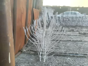 معرفی میلگرد شاخ گوزنی + بهترین قیمت خرید